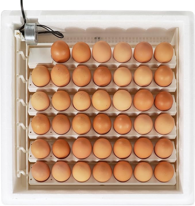 Farm Innovators 41 Egg Digital Circulated Air Incubator w/Auto Turning & Humidity Control - Automatic Incubating Machine for Hatching Chicken Eggs and Poultry Farming