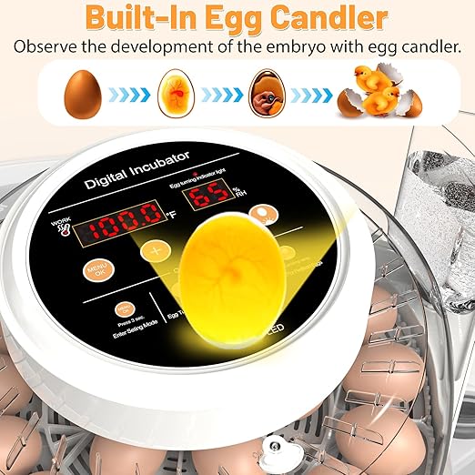 12 Egg Incubator for Hatching Eggs with Automatic Egg Turning, Temperature & Humidity Control Display, Built-in LED Egg Candler, External Water Adding System, Chicken Duck Quail Hatcher