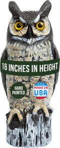 Dalen Large Fake Owl Decoy to Scare Birds Away - 16 in Hand-Painted Great Horned Owl Garden Scarecrow for Natural Pest Control - Fixed Head Design - Secure Upright by Filling with Sand/Gravel Only