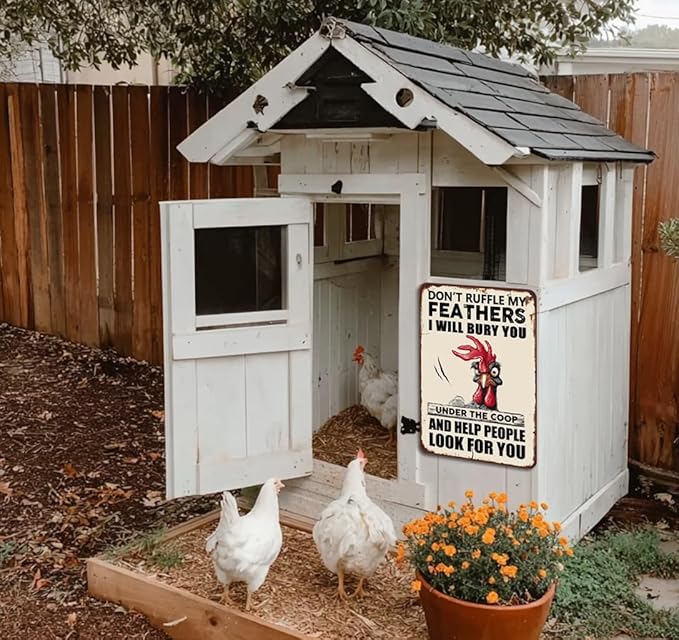 Funny Chicken Signs Chicken Coop Accessories Rooster Decorations Chicken Stuff For Farmhouse Farm Decor Don't Ruffle My Feathers 12x8 Inches