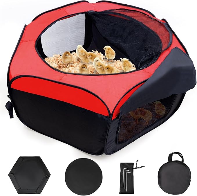 Chick Brooder Box-Chicken Brooder Playpen/Tent with Dual Door, Pop-Up Brooder Box Perch Up to 17 Baby Chick, Kit with Storage Bag, Top Cover, Fixed Pegs, Waterproof Mat(Red and Blue Randomly)