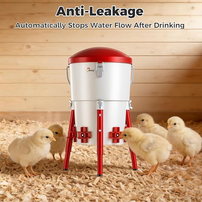 Metal Chick Waterer, Poultry Waterer Container Tank, Chickens, Ducks & Other Poultry for Enthusiasts, Agriculturists, and Ranchers, 0.5 Gallon