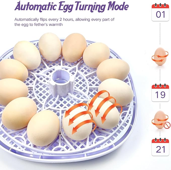 12 Egg Incubators for Hatching Eggs | with Auto Egg Turner, Temp & Humidity Control | 360° Viewing for Chicken, Duck, Quail Eggs | Ideal for Farm, School, Home