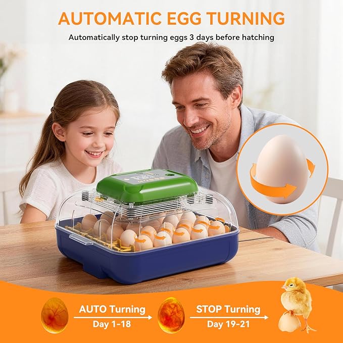 Incubators for Hatching Eggs, 25 Egg Incubator with Automatic Egg Turning and Humidity Control, Temp Control, Hatch Day, 360° Viewing for Chicken, Duck, Quail Eggs, Ideal for Farm, School and Lab