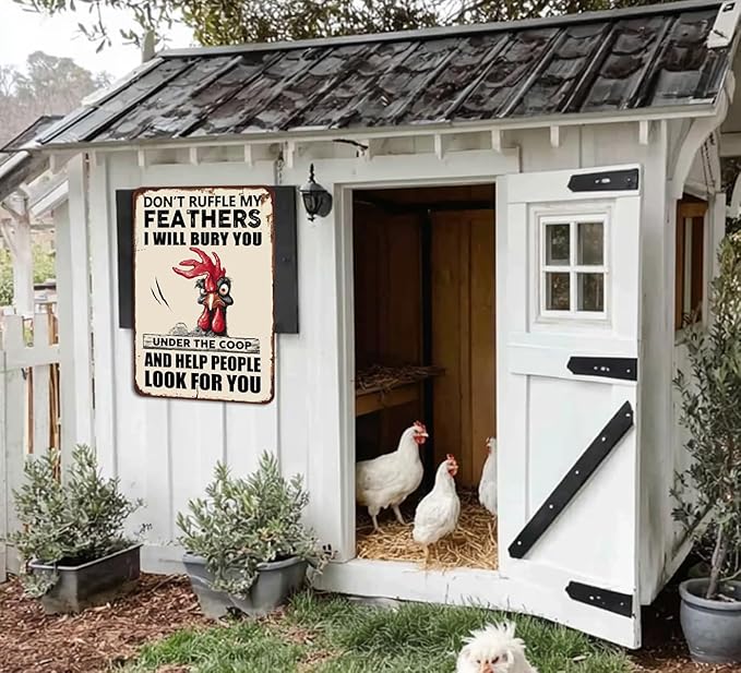 Funny Chicken Signs Chicken Coop Accessories Rooster Decorations Chicken Stuff For Farmhouse Farm Decor Don't Ruffle My Feathers 12x8 Inches