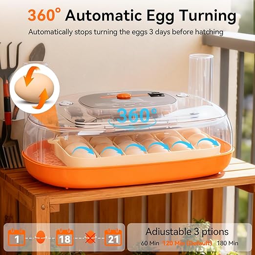 Incubators for Hatching Eggs, 24 Egg Incubator, Automatic Egg Turner with Humidity Control & Digital Temperature, Hatch Day, Auto Water Refill, 360°Viewing for Chicken, Duck, Quail, Duck, Goose