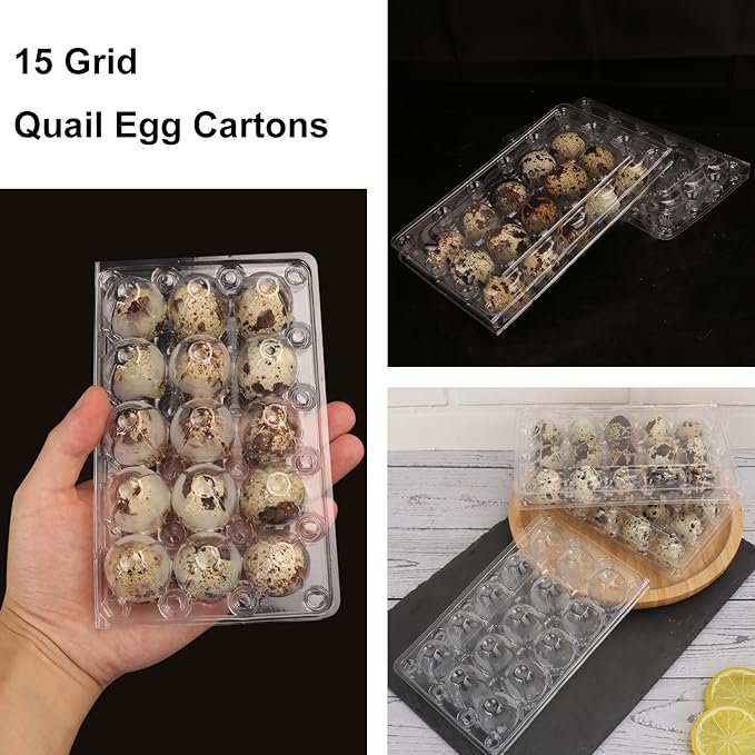 160 Pack 3 x 5 Grids Quail Egg Cartons, Clear Plastic Quail Egg Trays, Holds up to 15 Quail Eggs Securely for Bulk Storage and Display
