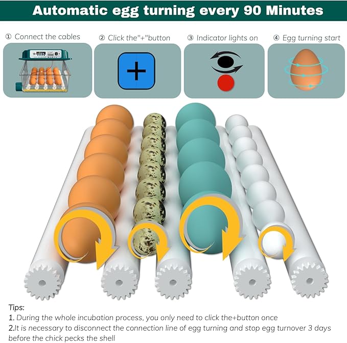 Egg Incubator, Egg Incubator with Automatic Egg Turning and Automatic Water Addition, 12-16 Eggs Incubator with Egg Candler, Incubator for Chicken Eggs Duck Eggs Quail Eggs