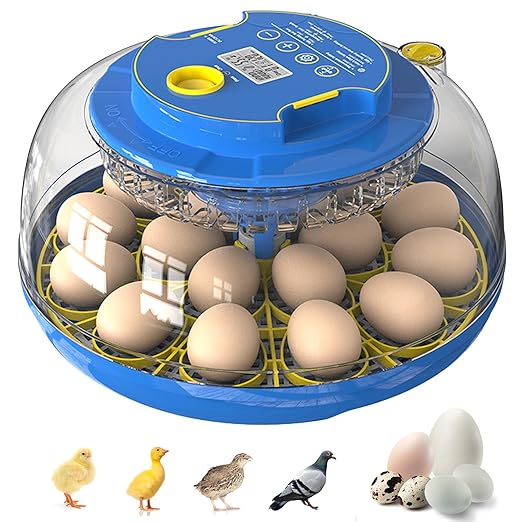 18 Egg Incubator for Hatching Chicken, Duck, Quail Eggs – 360° Visible Lid, Automatic Turning & Humidity Control, Built-in Egg Candler – Ideal for Home & Classroom Science Projects