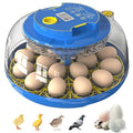 18 Egg Incubator for Hatching Chicken, Duck, Quail Eggs – 360° Visible Lid, Automatic Turning & Humidity Control, Built-in Egg Candler – Ideal for Home & Classroom Science Projects