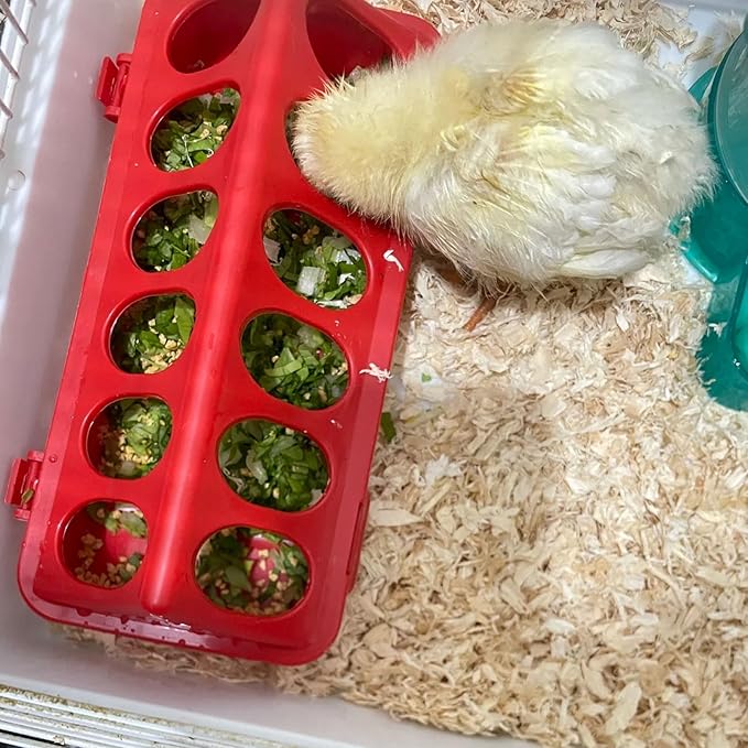 10 Pack Plastic Flip-Top Poultry Feeder Tray – No Mess Chick Feeder for Baby Chicken, Quail, Ducklings, Pigeons – Spill-Proof Brooder Trough for Small Birds