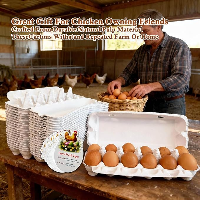 Reusable Pulp Egg Carton,12-Count Storage Container, Farm Fresh Egg Holder for Countertop, Chicken Egg (20, white, 2 * 6)