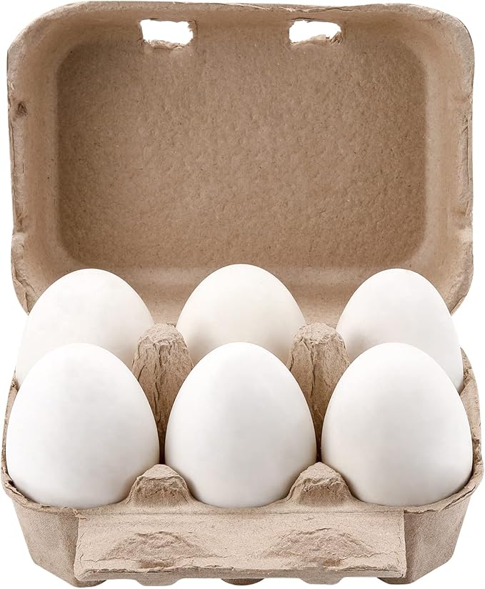 Vintage Jumbo Duck Egg Cartons 20 Pack, Half Dozen Paper Carton for Normal Size Geese, Blank Natural Pulp Jumbo Eggs Container Holder Reusable for 6 Six Count Chicken Carton Storage Strong Tray