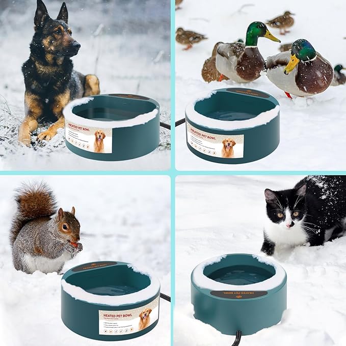 2.2L Heated Dog Bowl, Provides No Freeze Water, Pet Water Heater for Dogs/Cats/Chickens/Birds/Livestock, Green
