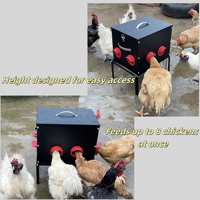 Automatic Chicken Feeder –50 lbs 8 Feeding Ports,Large Metal Chicken Feeders - No Waste Poultry Feeder with Locking Lid and Legs for Inside Coops