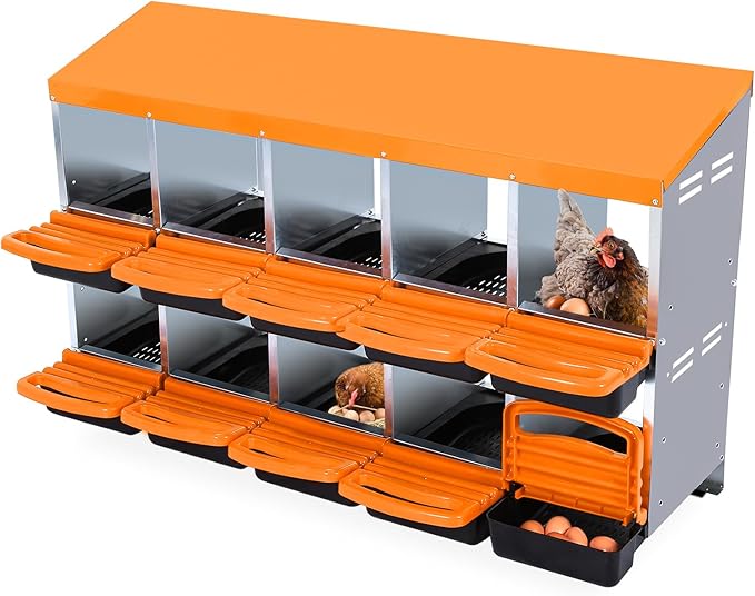 Chicken Nesting Boxes, Roll Away Nesting Box 10 Hole Metal Chicken Egg for Chicken Coop, Swing Perch and Rollout Egg Collection, Orange