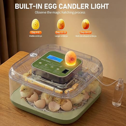 Winado Incubators for Hatching Eggs, 12 Egg Incubator with Automatic Egg Turning, Temperature & Humidity Control, Egg Candler, Automatic Water Filling and Day Counter for Eggs Hatching