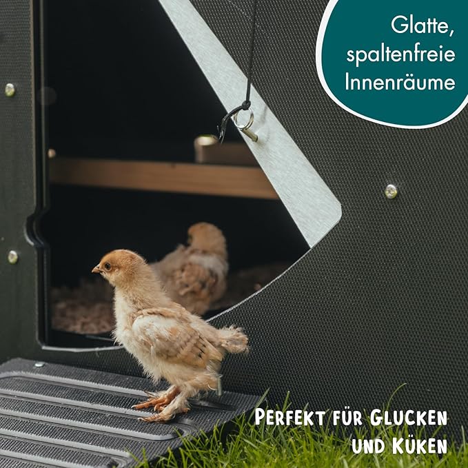 Nestera Plastic Chicken Coop - 25yr Lifespan, Small, Ground, Suitable for 3 Chickens or 5 Bantams, Easy to Clean, Maintenance Free, Ideal Temperature, Predator Proof
