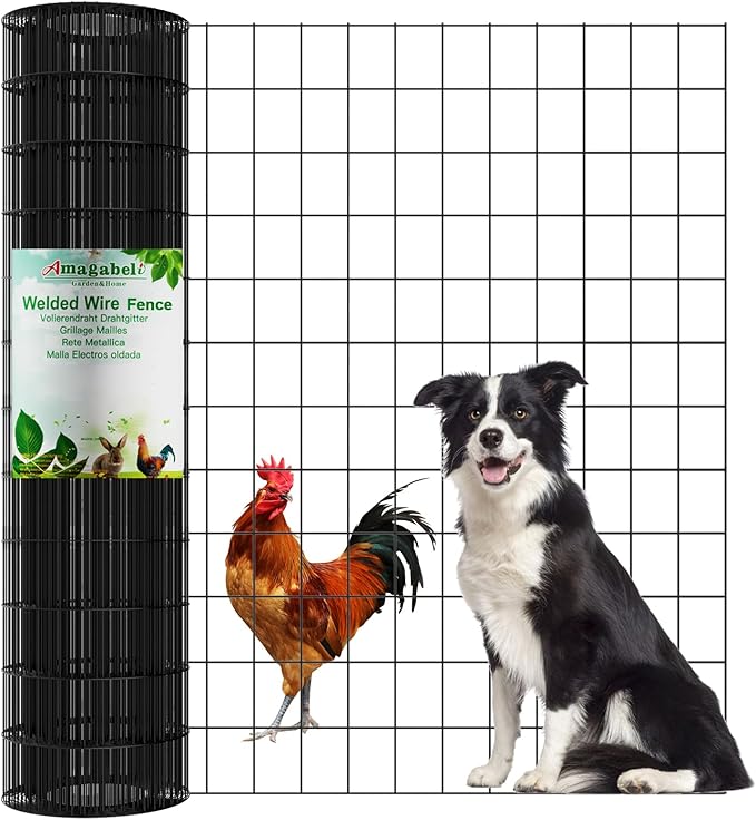 AMAGABELI GARDEN & HOME Black PVC Coated Welded Wire Fence 2inchx3inch 36inchx25ft 16Gauge Garden Border Fencing Roll Vinyl Coating Metal Wire Mesh Garden Bed Plant Supports Poultry Netting Cage