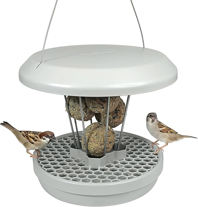 SWISSINNO Bird Feeders - No Mess Fat Ball/Suet Feeder for Outdoors Hanging - Smart Birds Lucerne Spill Proof Wild Cardinal Bird Feeder with Integrated Seed Catcher Tray - Light Grey