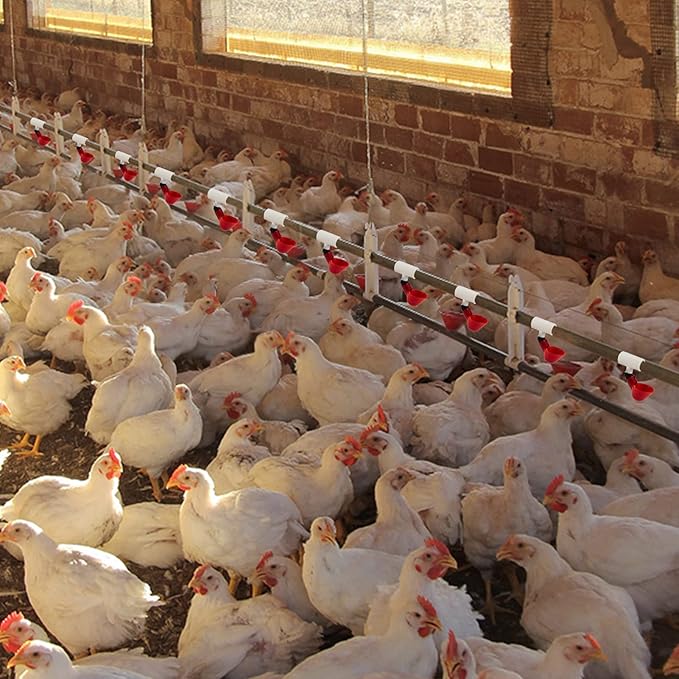 20 Pack Chicken Waterer PVC Tee Fittings - Fully Automatic for Threaded Chicken Waterer Nipples/Cups/Feeders/Poultry Water Drinker, White