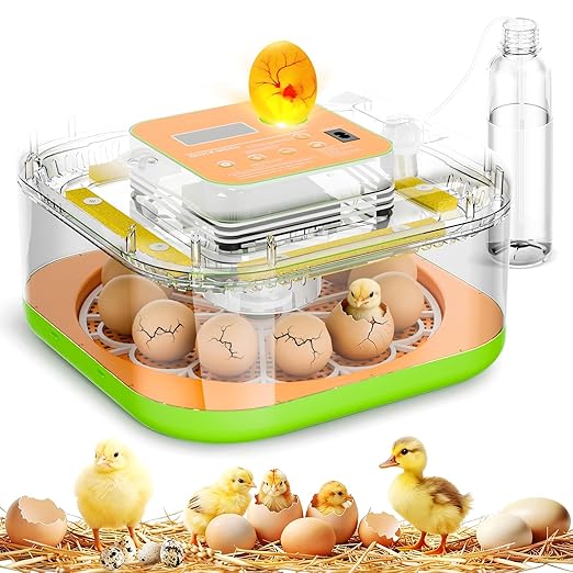 Incubator for Hatching Eggs, Temperature and Humidity Control, Automatic and Adjustable Egg Turning & Incubation Day, Built-in Egg Candler, 12 Egg Incubator for Hatching Chicken, Duck, Turkey, Bird