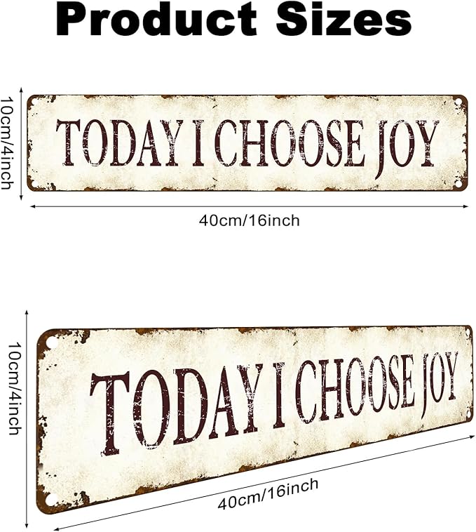 Metal Tin Signs Wall Art - Today I Choose Joy - 16x4 Inch Inspirational Home Decor - Modern Motivational Sign for Office, Bedroom, Living Room - Durable Positive Quotes Metal Artwork Wall Decoration