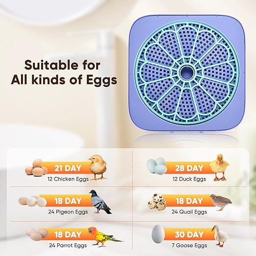 Incubators for Hatching Eggs, Smart Egg Incubator with Humidity & Temp Control and Auto Turner, 360° View Incubadora De Huevos De Gallina, Egg Candler, Incubator for Chicken Eggs, Ducks, Goose, Quail