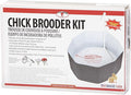 Little Giant® Chick Brooder Enclosure | Setup for Raising and Brooding Chicks | Poultry Brooder Box