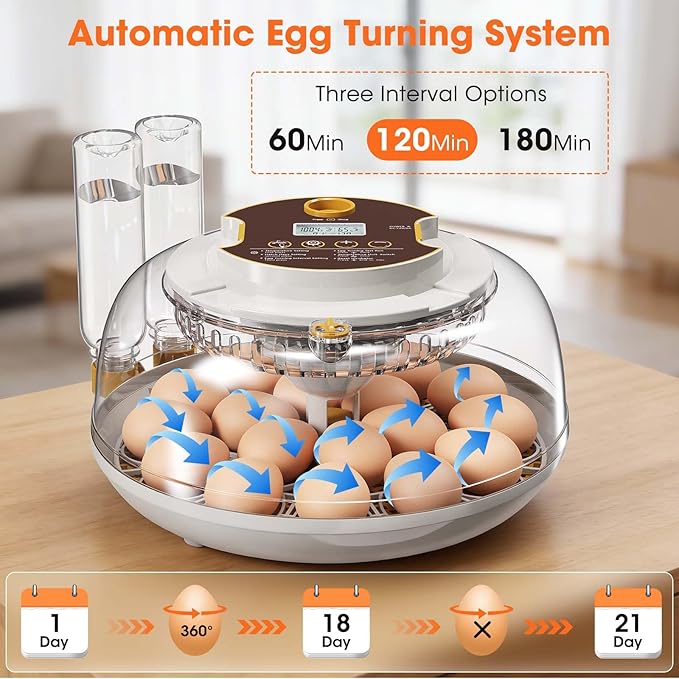 18 Egg Incubator with Automatic Egg Turning & Humidity Control, Built-in Egg Candler, 360° View Window & Dual-Size Trays for Chicken, Duck, Quail, Goose Eggs – Ideal for Farm, Classroom, Home