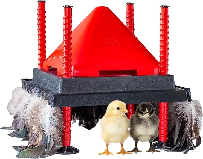 RentACoop 10x10” Heating Plate with Hard Anti-Roost Cone Set and Removable Comfort Feathers – Chick Brooder Heat Plate Warms Up to 15 Chicks – Energy Efficient - Safer Than Heat Lamps