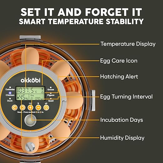 Egg Incubator with Automatic Egg Turning and Humidity Control – 12 or 20 Egg Incubator for Hatching Eggs – incubadora de huevos de gallina – Smart Temp Adjust – Candling Lamp