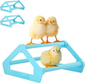 Roosting Perch for Baby Chickens, Chick Brooder Coop Training Toy Accessory, Easy Click Together Assembly, Durable Plastic, Mix and Match Colors, USA Made (Baby Blue, 3 Pack)