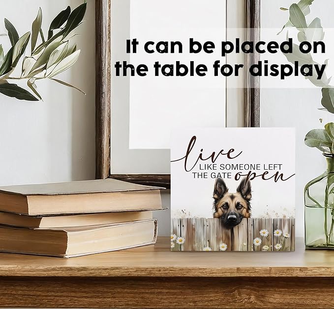 Belgian Malinois Signs - Farm Cottagecore Animal Office Kitchen Bedroom Decor,Rustic Farmhouse Live like Someone Left the Gate Open Home Decor Signs,Belgian Malinois Gifts for Women,6x6