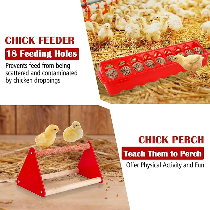 Chick Feeder and Waterer Kit with Chick Perch, Cool Chick Feeder and Waterer Set, Baby Chick Starter Kit with Chick Perch for Small Poultry Chicks Ducks Quail Pigeons Birds(RED)