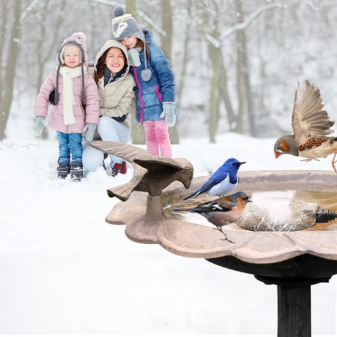 Bird Bath Heaters for Outdoors in Winter, 60W Chicken Water Heater Small Pond Heater De-Icer with Thermostatically Controlled, Pond Warmer for Fish Ponds, Suitable for Birds Chicken Duck Drinking