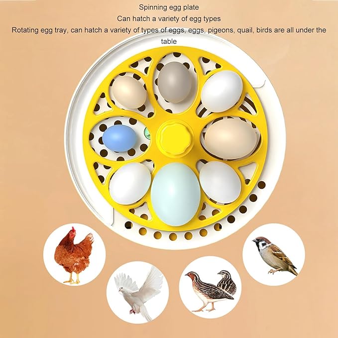 Zunate 8 Egg Incubator, Incubators for, Mini Egg Incubators with Automatic Temperature Humidity Control, Poultry Incubator for Hatching Chicken Quail Duck Parrot (Auto