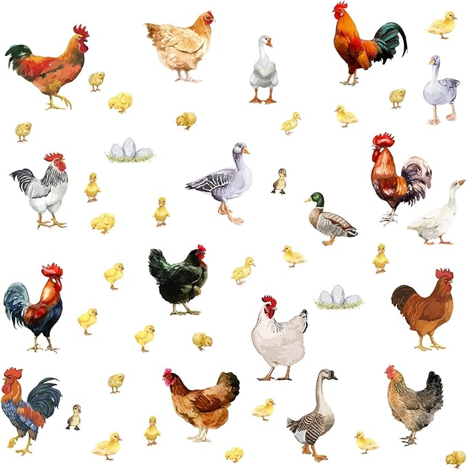 PLIGREAT Farm Poultry Rooster Chickens Duck Wall Stickers, Peel and Stick Wall Decals, Removable Vinyl Wall Sticker for Farmhouse Living Room Farm Store Wall Decoration Home Indoor Wall Art Decor