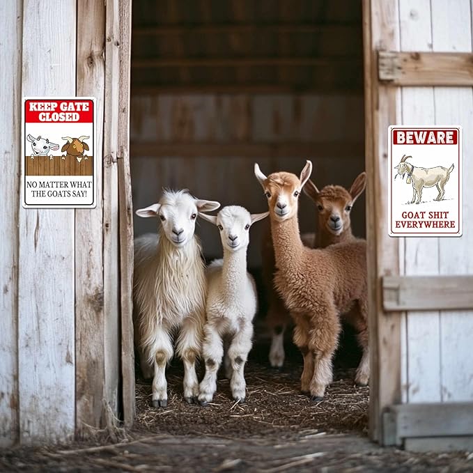 Beware Goat Shit Everywhere Sign Keep Goat The Close Signs Funny Metal Signs For Outside Goat Decor Goat House Sign Vintage Metal Tin Signs 8x12 Inch