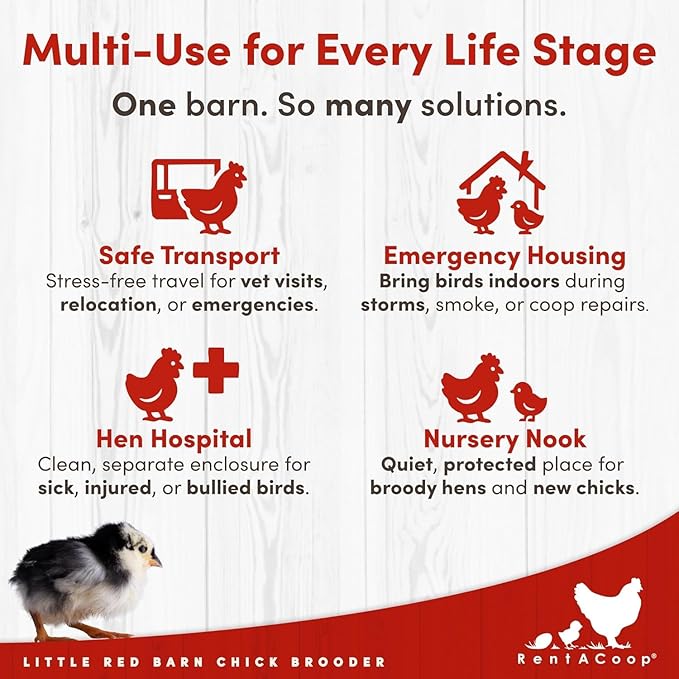RentACoop Little Red Barn Chick Brooder | Durable, Lightweight, Easy-Clean, Multipurpose | with Absorbent Hatchling Liners, Jute Liners, LED Light, Security Latch