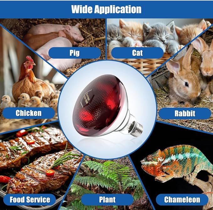 250W Heat Lamp Bulbs 1 Pack Infrared Heat Lamp for Chickens with E26 Socket and 5000 Hours Lifespan Heat Light Bulb for Pets Chicks Reptile Food Service Brooder Coop
