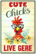 Vintage Chicken Sign Cute Chicks Live Here Metal Country Chicken Hen Rooster Tin Signs Funny Coop Signs Outdoor Decor for Lovers House Decor 12 * 8inch