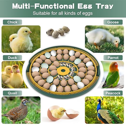 52 Egg Incubator with Automatic Egg Turning and Humidity Display, Incubators for Hatching Eggs, Chicken, Ducks, Goose, Pigeon, Quail, Parrot Incubator for Farm, Lab