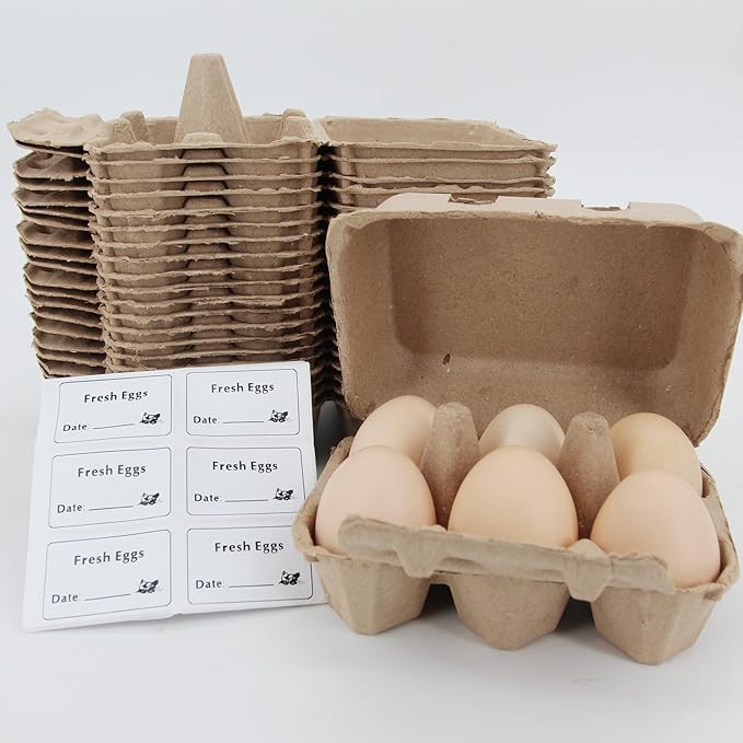 20 Pack Egg Cartons Cheap Bulk, 6 Count Egg Storage Containers Holder, Sturdy Natural Pulp Material Perfect for Storing Extra Eggs，Blank Natural Pulp Carton for Chicken Eggs Reusable