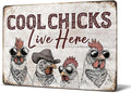 Heuhuww Chicken Coop Decor Cool Chicks Live Here Tin Sign for Farm Home Chicken Coop Vintage Rooster Decor 12" x 8"(H3)