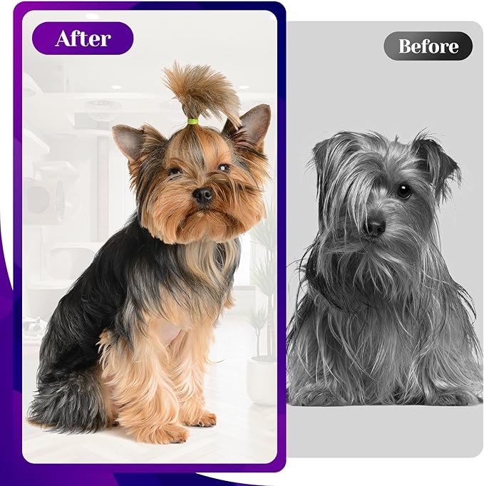 Dog Grooming Scissors Set – 6 in 1 Pet Grooming Kit with Curved, Thinning, Chunker & Straight Shears + Comb – 440C Stainless Steel Sharp Blades, Ergonomic & Quiet Design (Purple)
