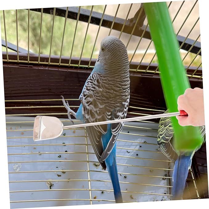 Hemoton 2-Piece Bird Cage Cleaning Brush Set Bird Feeder Brush and Droppings Cleaner for Small PET Cages Easy to Use Cleaning Tools