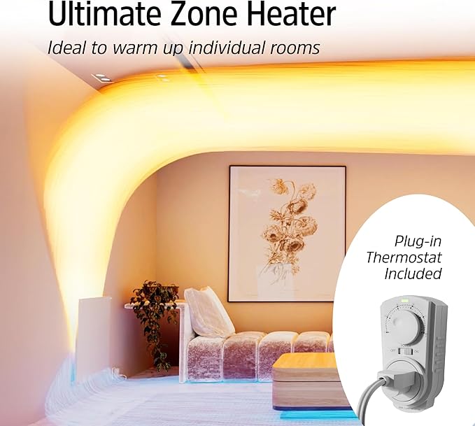 EconoHome Convection Wall Heater with Thermostat - 250W Electric Wall Mounted Space Heater Panel - Updated Model, 120V - Heats Rooms up to 120 Sq Ft