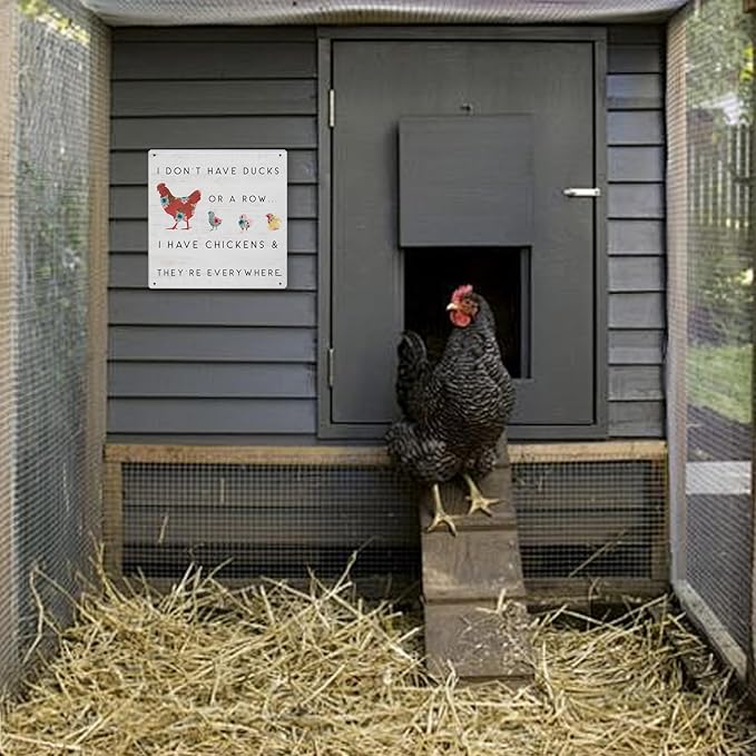 Funny Chicken Coop Decor Outdoor Farmhouse Decor Chicken Lady Gifts For Garden Home Kitchen 8×8 Inches Tin Sign