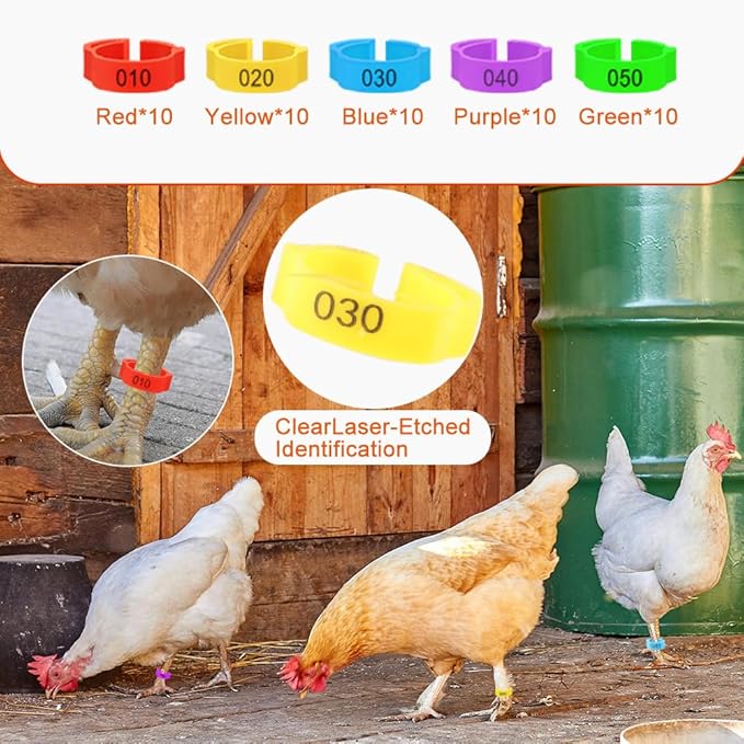 6PCS Chick Feeder and Waterer Set with Perch, 2 Feeders & 50 Chicken Leg Bands, Poultry Starter Kit for Baby Chicks, Ducks, Quail (0.3 Gal Waterer, 2.2Lb Feeder)